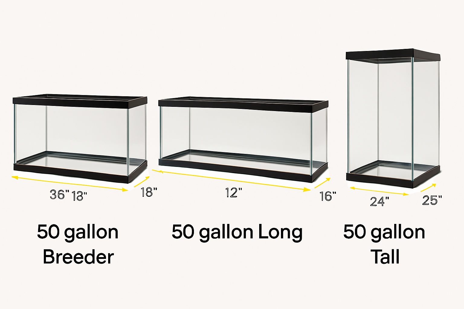 The Reality of 50 Gallon Tank Dimensions